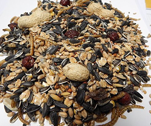 Vogelfutter, Winter und Sommer-Futtermischung Ganzjahresmix Universal mit Naturfutter 10 kg,