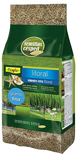 Flower Semillas Césped Litoral Grama Fina, 1 kg