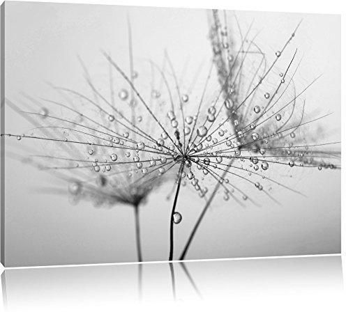 Pixxprint Pusteblume bedeckt mit Tropfen, Größe: 80x60cm, Leinwandbild, fertig gespannt, Wandbild, Dekoration, Kunstdruck, kein Poster