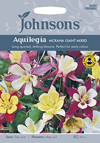 Johnsons 14542 Flower Seeds, AQUILEGIA McKana Giant Mixed