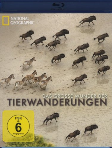 Das große Wunder der Tierwanderungen Teil 1 - National Geographic [Blu-ray]