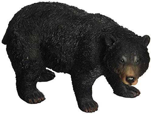 Design Toscano QM24217001 Statue de l’Ours noir en marche Multicolore 25,5 x 12,5 x 15 cm