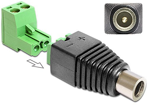Delock 65486 Adapter DC 2,5 x 5,5 mm Buchse > Terminalblock 2 Pin 2-teilig