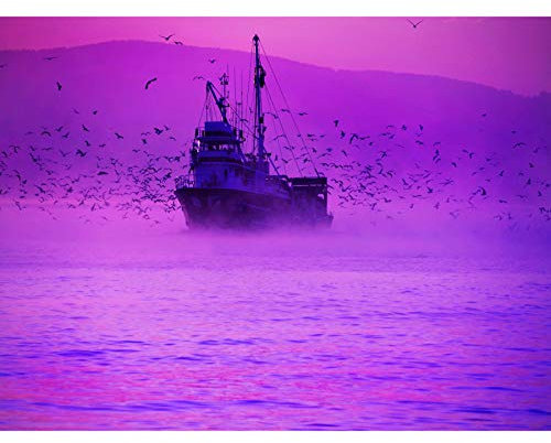 Wee Blue Coo Prints Photography Composition Purple Haze Fishing Trawler Flock Gulls 12x16 '' Poster Foto Zusammensetzung Lila Fisch Gull