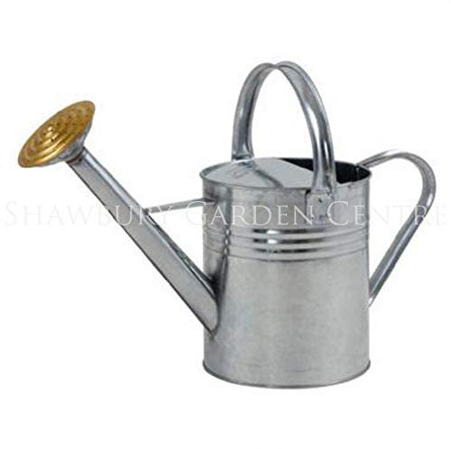 Ambassador 9L Galvanised Watering Can