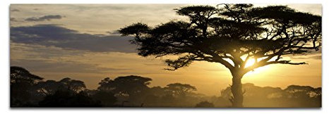 PAUL SINUS Art Image sur toile et panoramique Châssis 150 x 50 cm Arbres coucher de soleil et paysage africain
