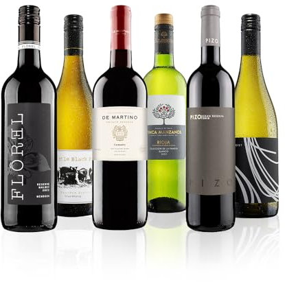 Virgin Wines - Mixed Wine Gift Selection - 6 Bottles (75cl) – Premium Wines from Argentina, Italy, Spain and France