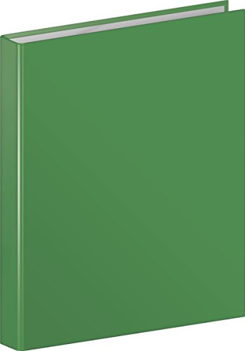 Brunnen 106552159 Ringbuch (A4, Kartonüberzug, 20mm Füllhöhe, 2 Ringe, mit Beschriftungsetikett auf dem Rücken) grün