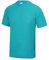 Just Cool Mens Performance Plain T-Shirt (M) (Hawaiian Blue)