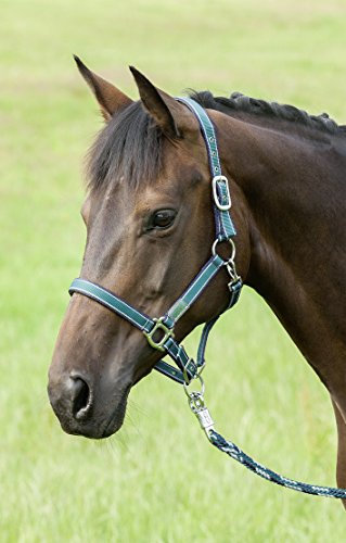 USG 15050016-429-401