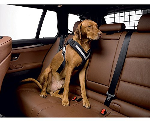 KLEINMETALL 15380200 Allsafe Gürtel der Sicherheit für Hunde, L