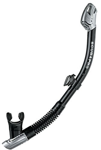 SCUBAPRO Schnorchel Spectra Dry Farbe Silber