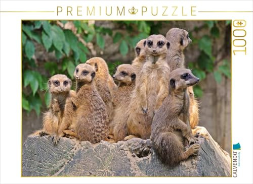 CALVENDO Puzzle Familienbande Erdmännchen 1000 Teile Puzzle quer | Lege-Größe cm Foto-Puzzle für glückliche Stunden