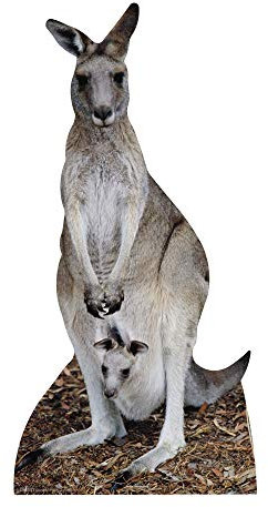 STAR CUTOUTS SC73 Kangaroo Cut Out of, Einfarbig, Känguru