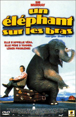 Un éléphant sur les bras
