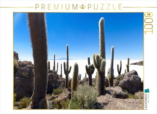 CALVENDO Puzzle Isla Incahuasi im Salar de Uyuni, 3.653 m ü. N., Bolivien | 1000 Teile Lege-Größe 64 x 48 cm Foto-Puzzle für glückliche Stunden