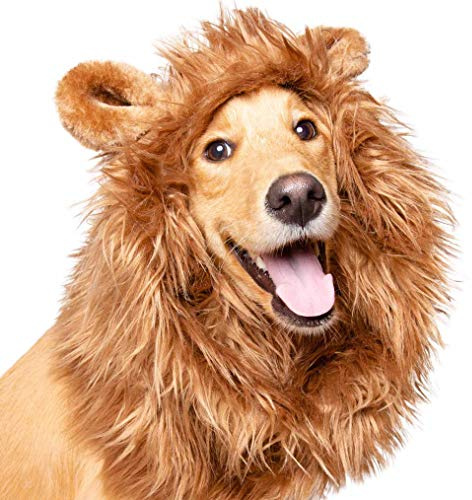 Pet Krewe Löwenmähne für Große Hunde - Halloween-Kostüm, Passend für Halsumfang 33-81,3 cm, Ideal für Hundegeburtstag, Cosplay, Outfits