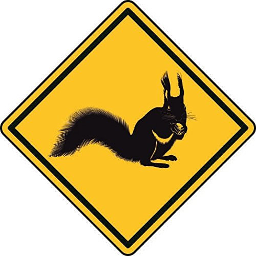 U24 Aufkleber Vorsicht Eichhörnchen Autoaufkleber Sticker
