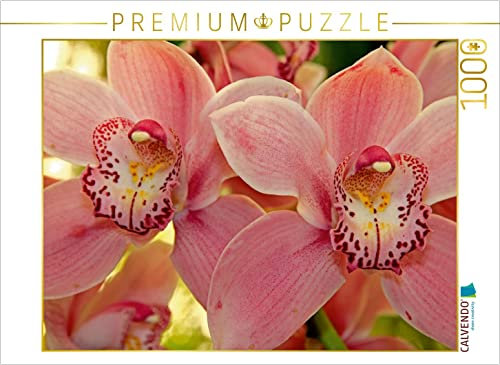 CALVENDO Puzzle Orchideen 1000 Teile Lege-Größe 64 x 48 cm Foto-Puzzle Bild von Klaus Lielischkies