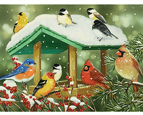 Bits and Pieces - 500 Piece Jigsaw Puzzle for Adults - Winter Treats - 500 pc Birds Jigsaw by Artist William Vanderdasson