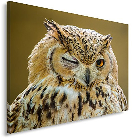 Feeby Bilder Eule Tier 80x60 cm Wohnzimmer Schlafzimmer Büro Flur Küche Wandbilder Modern Bild auf Leinwand Wanddekoration Kunstdruck Design Natur Hellbraun