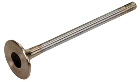 IPSA VL101200 Exhaust Valve