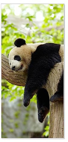 banjado® Magnettafel 37 x 78cm / Magnetwand aus Metall/Magnetpinnwand als Memoboard/Pinnwand Magnettafel Küche, Büro, Kinderzimmer inkl. 4 Magnete & Montageset - Motiv Panda