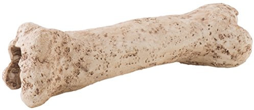 Exo Terra Dinosaur Bone, Dinosaurier Knochen, sicheres Versteck für Terrarienbewohner