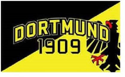 TS24DIREKT Dortmund - Adler 1909 Fahne (F9)