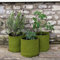 Haxnicks Medium Vigoroot Plant Pots,Special Garden Fabric Needs Less Compost | Better Roots | Stronger Plants | Up To 30% Higher Yield | Capacity 10L Green | VIG090101