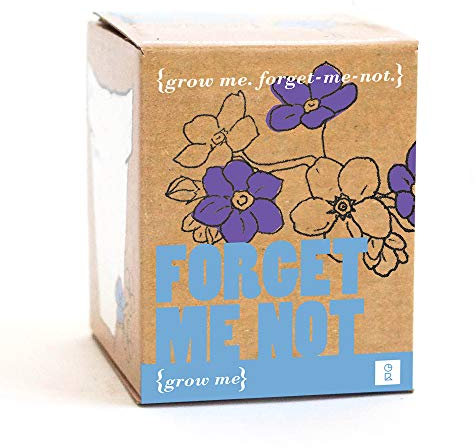 Gift Republic GR130033 Forget Me Not Grow Me, 7.0 cm*9.0 cm*8.5 cm
