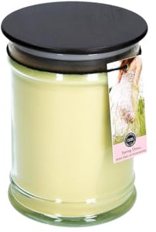 Bridgewater Candle Large Jar Spring Dress 524 g