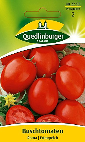 Tomatensamen - Buschtomate Roma von Quedlinburger Saatgut