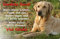 +++ LABRADOR Retriever - Metall WARNSCHILD Schild Hundeschild Sign - LAB 47 T39 BLO