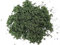 Javis Modelling Scatter - Course Grass - Dark Green - Small Bag