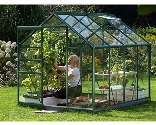 Vitavia Venus 5000 Anodised Aluminium Greenhouse 6ft x 8ft - Toughened Glass