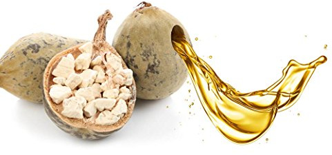kalt gepresstes Baobaböl 50ml Organic & Fair Trade Baobab oil Öl
