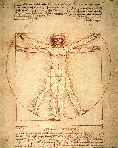 1art1 Leonardo Da Vinci Poster Vitruvianischer Mensch, Circa 1490 Kunstdruck Bild 50x40 cm