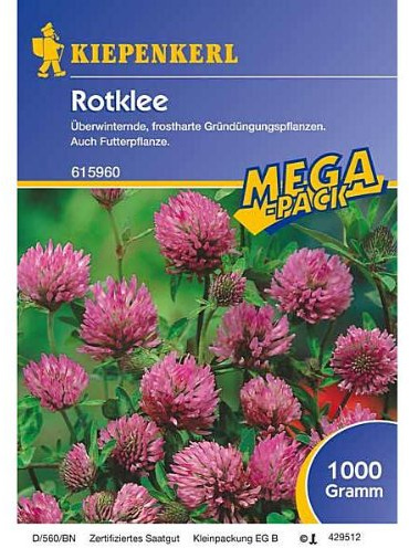 Rotklee,