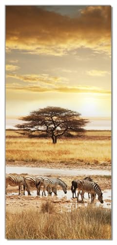 Wallario Selbstklebende Türtapete Safari in Afrika eine Herde Zebras am Wasser - Türposter 93 x 205 cm Abwischbar, rückstandsfrei zu entfernen