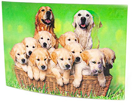 3D Postkarte Golden Retriever