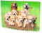 3D Postkarte Golden Retriever