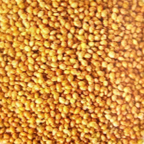 5 kg Hirse gelb lose, Vogelfutter, Wellensittiche, Kanarienvögel