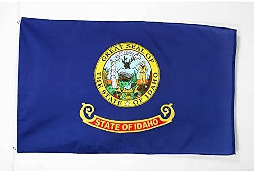 AZ FLAG - Flagge Idaho - 90x60 cm - Bundesstaat Idaho Fahne 100% Polyester mit Messing-Ösen - 50g