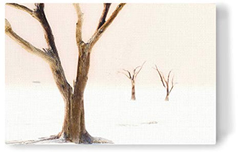 artboxONE Leinwand 60x40 cm Natur Treesome von Juergen Klust