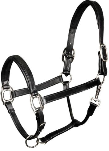 Harry's Horse Halster Leder, Padded, Farbe:schwarz, Größe:cob