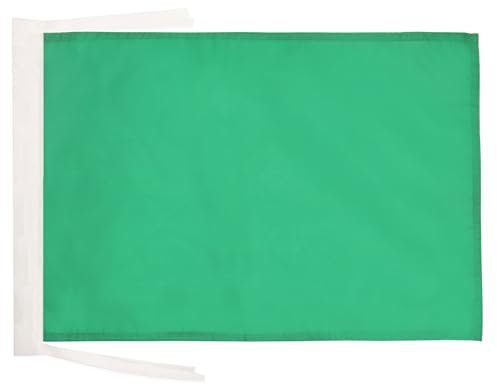 AZ FLAG - Drapeau Unicolore Vert - 45x30 cm - Pavillon De Couleur Verte 100% Polyester Avec Deux Cordelettes - 20g