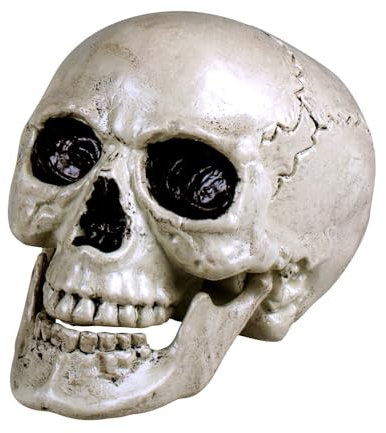 Boland 74362 - Totenkopf Maxilla mit beweglichem Gebisss, Größe ca. 17 x 15 cm, Schädel, Knochen, Dekoration, Halloween, Horror, Party, Karneval