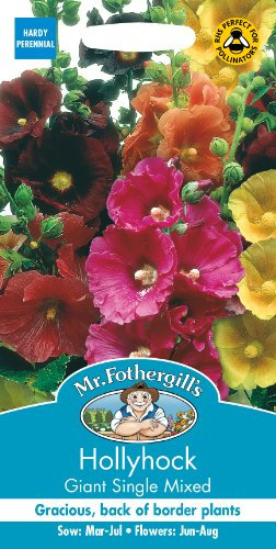 Mr Fothergill's 22687 Flower Seeds, Hollyhock Giant Single Mixed
