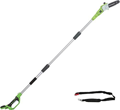 Greenworks G24PS20 Akku Hochentaster,20 cm Schenkellänge, 6,7 m/s Kettengeschwindigkeit, 3,2 kg, automatisches Öl-System, 50ml Öltank, 2,6m Stangenreichweite OHNE 24V Akku & Ladegerät,3 Jahre Garantie